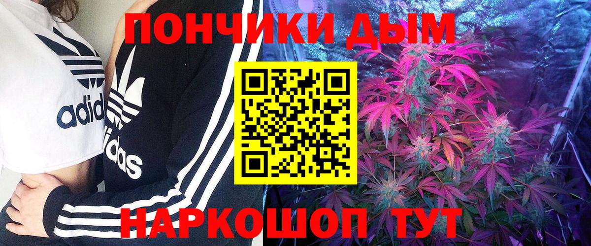 Бошки марихуана сатива  Шишки марихуана тримм  Бошки марихуана индика  Вход с VPN  Бутурлиновка 